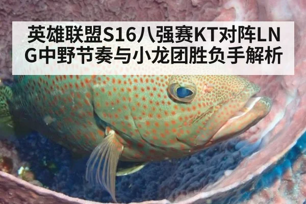 英雄联盟S16八强赛KT对阵LNG中野节奏与小龙团胜负手解析